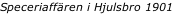 Speceriaffären i Hjulsbro 1901