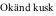 Okänd kusk